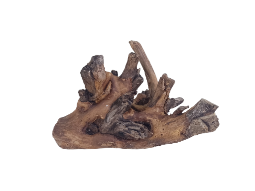 Driftwood for Aquarium Original Teak wood Branch 30 CM long and 20 cm Height 