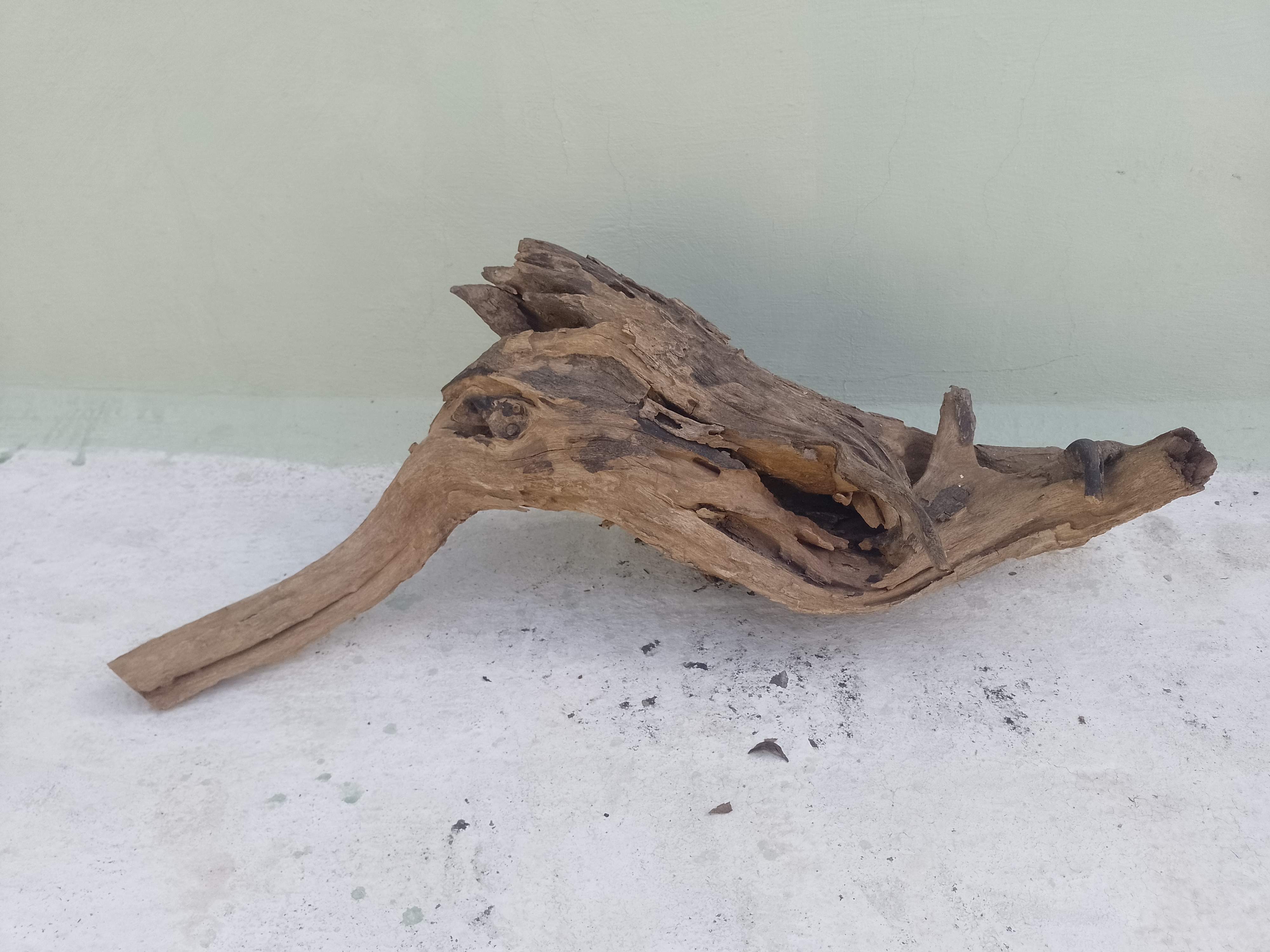 Natural Driftwood Tree Root for Aquarium 75 Cm Long and 30 Cm Height 