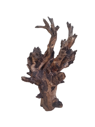 Driftwood For Aquarium Original Teak wood Branch 20 inch Height 
