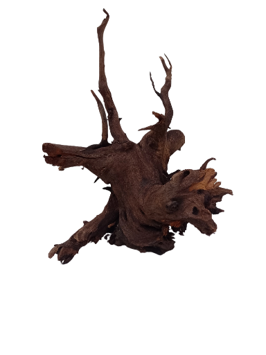 Natural Driftwood Branch for Aquarium, 60 cm Long Height