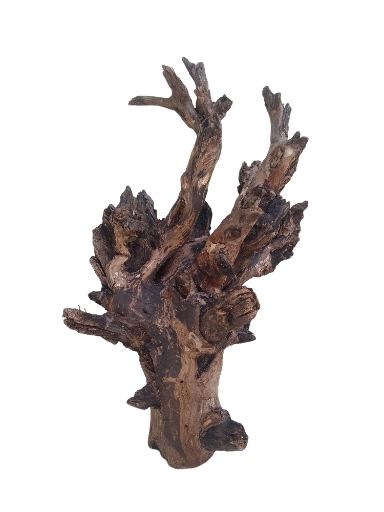 Driftwood For Aquarium Original Teak wood Branch 20 inch Height 