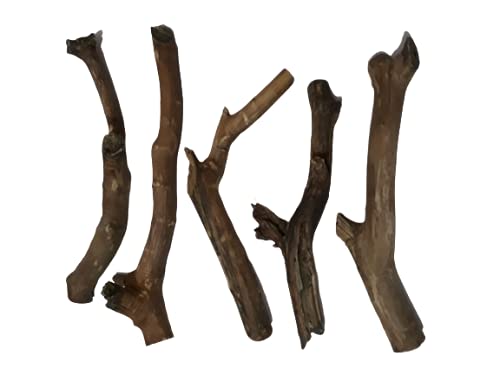 Natural Teak  Wooden Branches 4 Pieces 