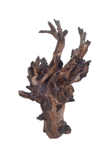 Driftwood For Aquarium Original Teak wood Branch 20 inch Height 