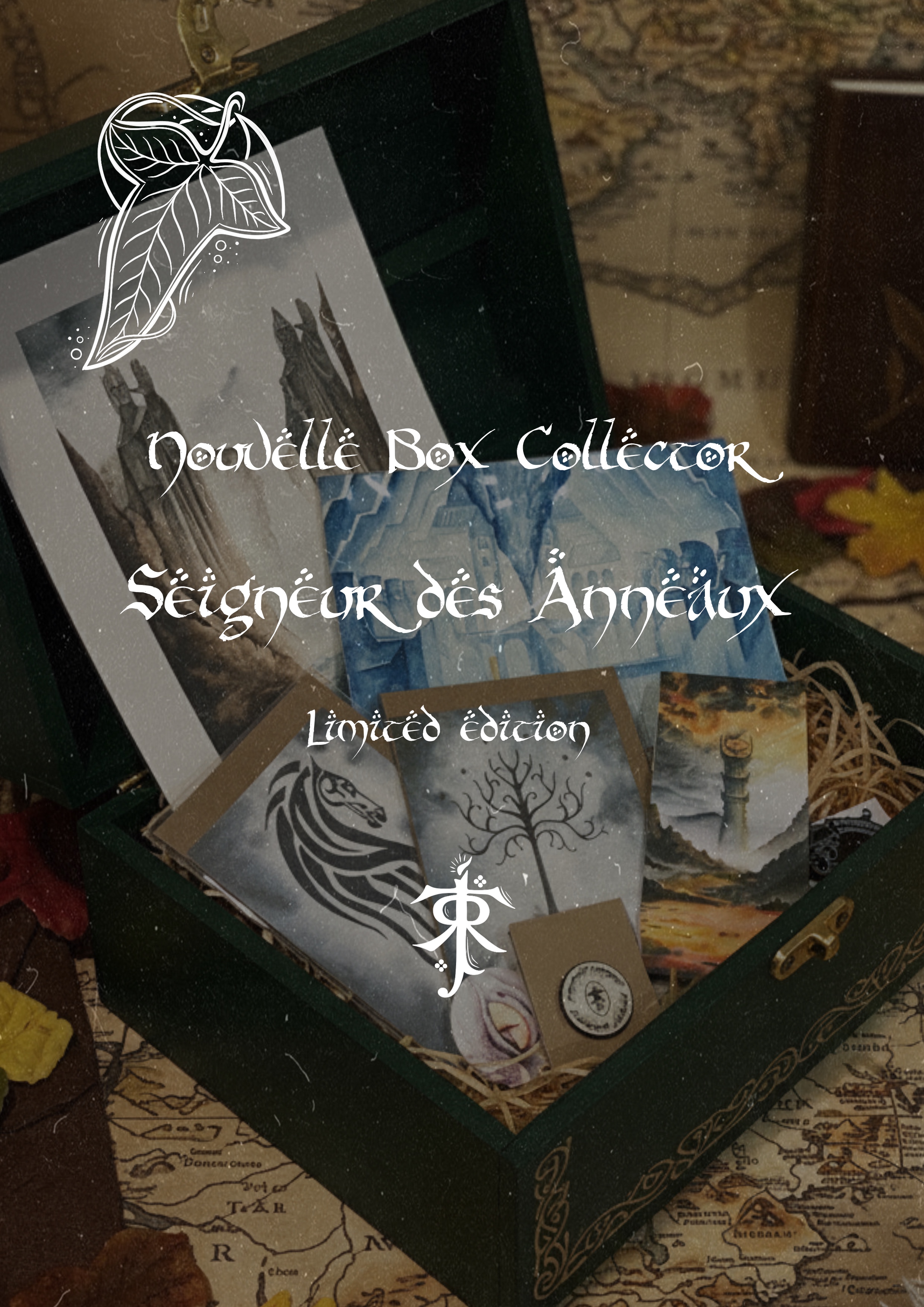 Box Seigneur des Anneaux