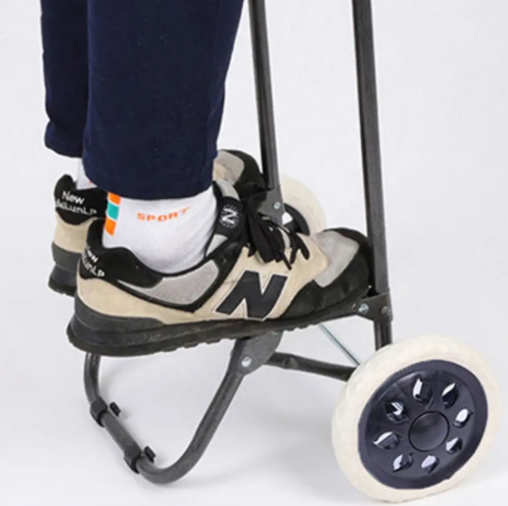 Trolley Dolly Foldable Shopping Cart for Groceries with Wheels and Removable Bag and Rolling Personal Handtruck Standard