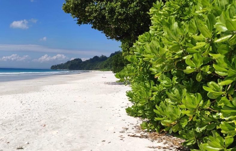 5 Days Andaman Island Hopping Tour for Families