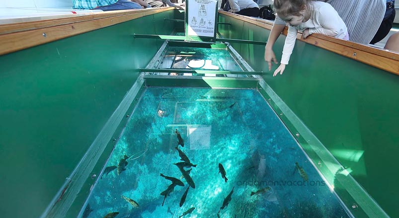 Glass Botto Boat Ride