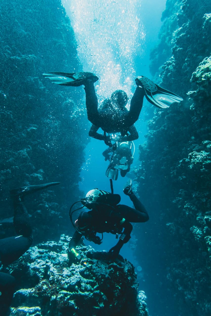 Scuba Boat Dive at Havelock