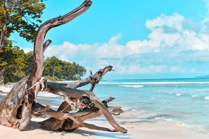 7 Nights & 8 Days Family Tour Package