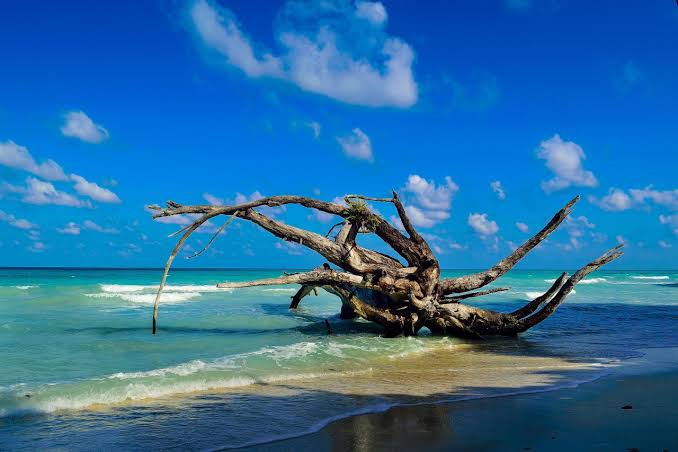 7 Nights & 8 Days Family Tour Package