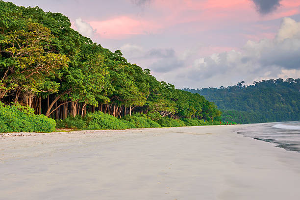 5 Nights & 6 Days Andaman Family Tour