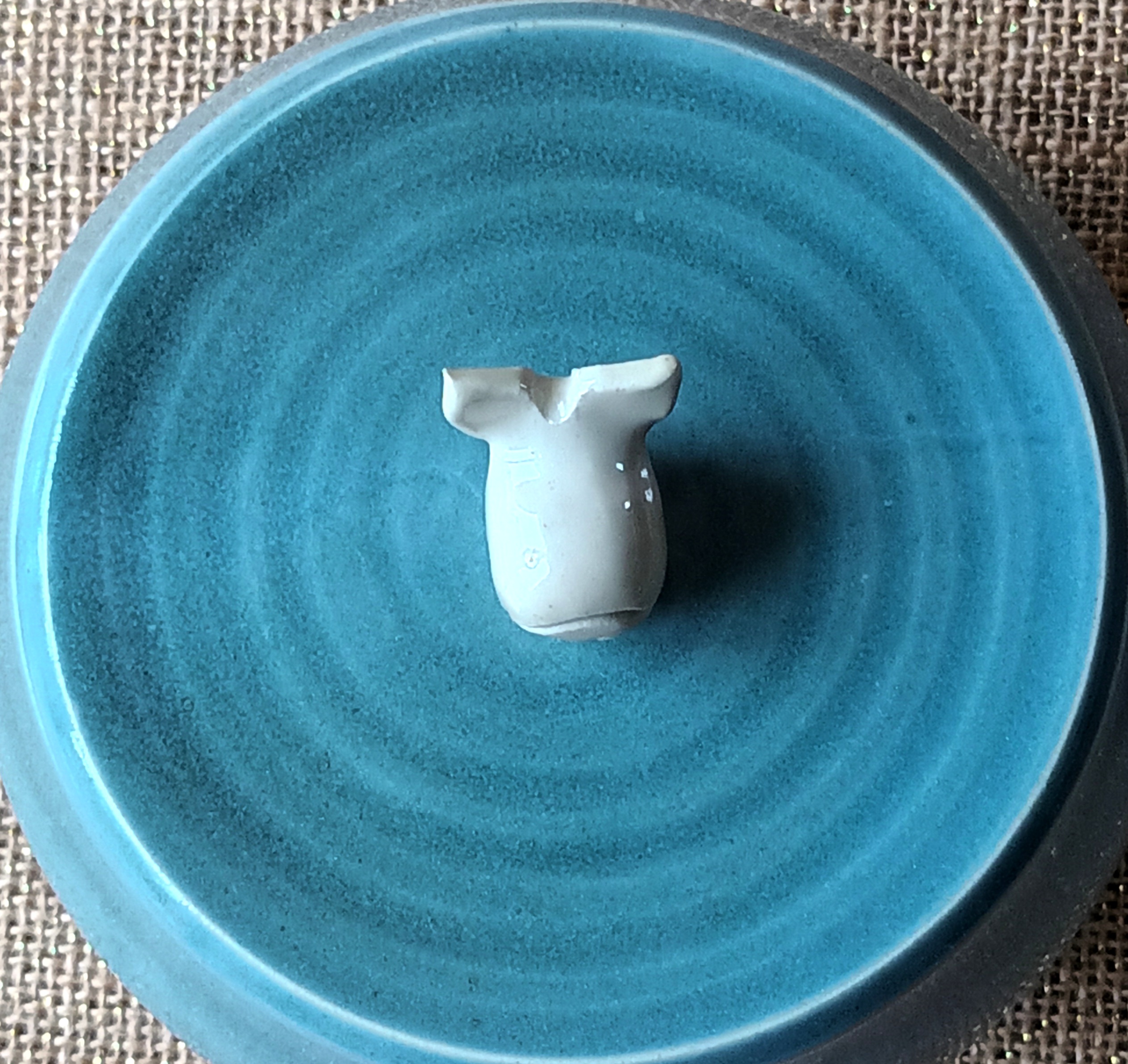 Boîte dodue à la baleine