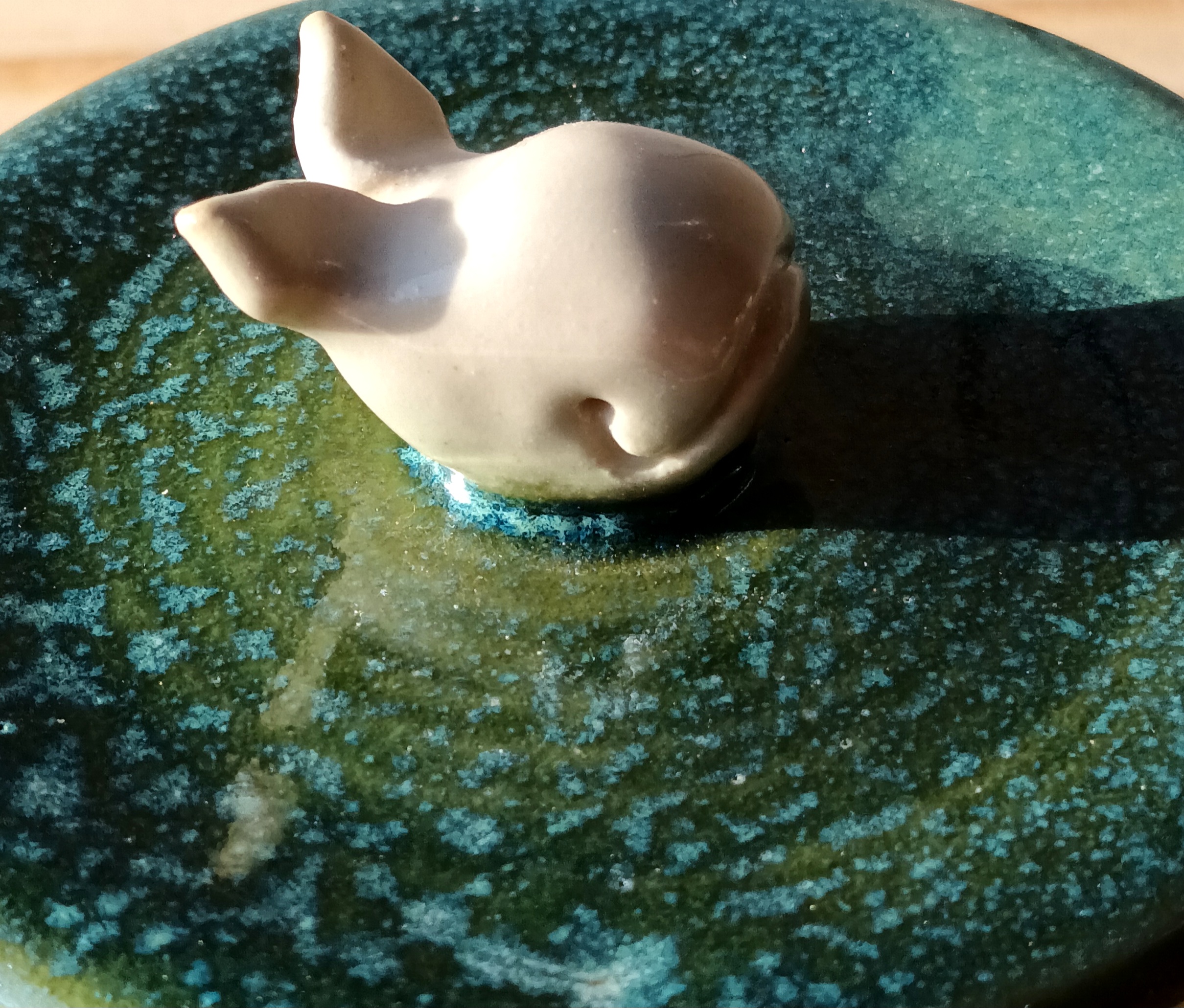 Boîte à la baleine