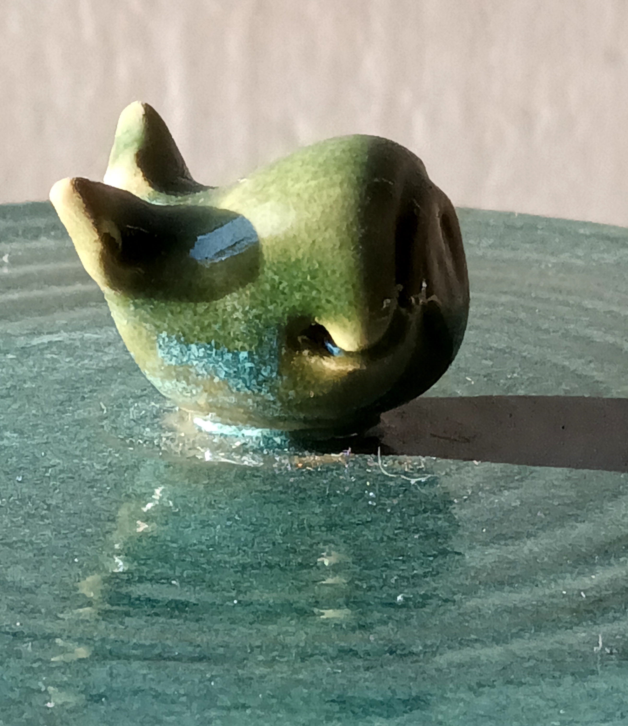 Boîte baleine verte