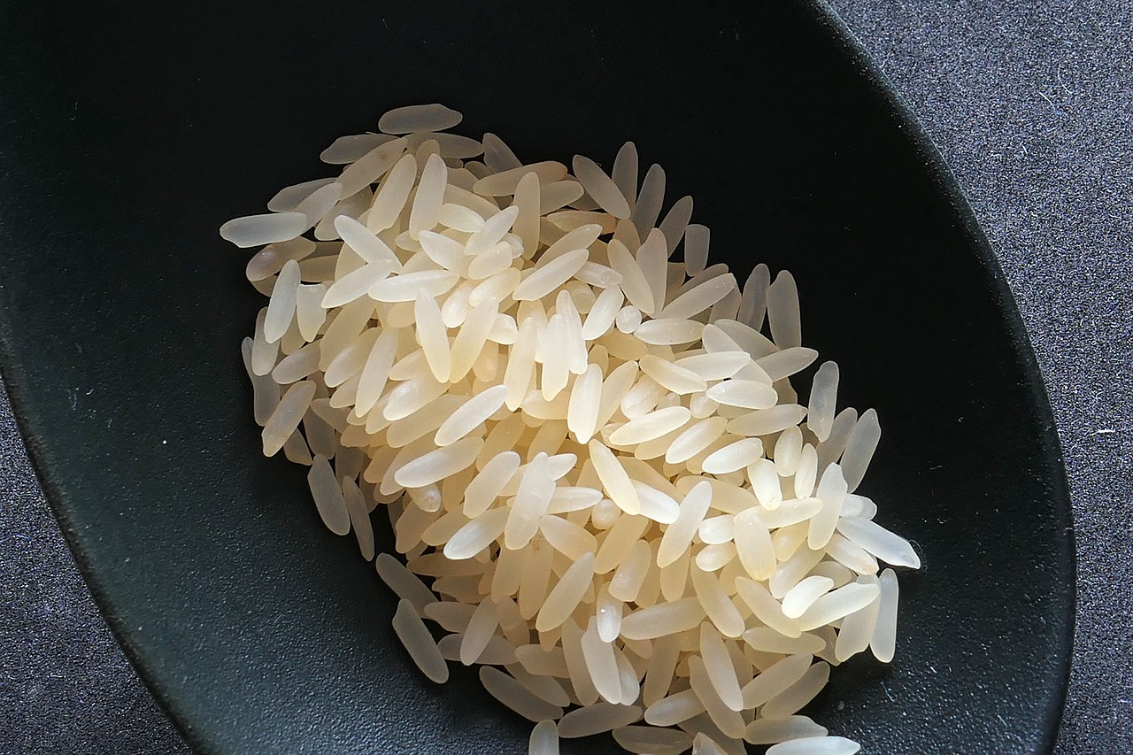 Premium Long Grain Rice