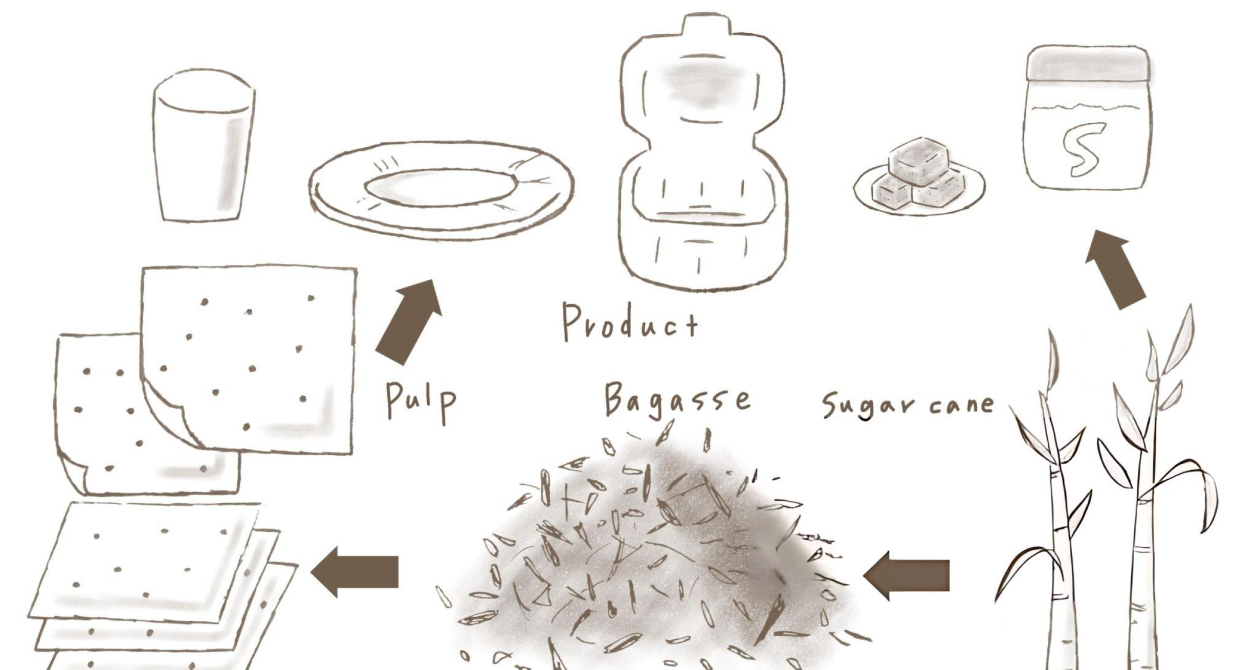 Bagasse Eco Plates