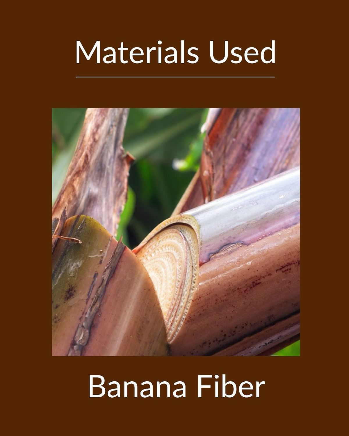 Banana Fiber Fabric
