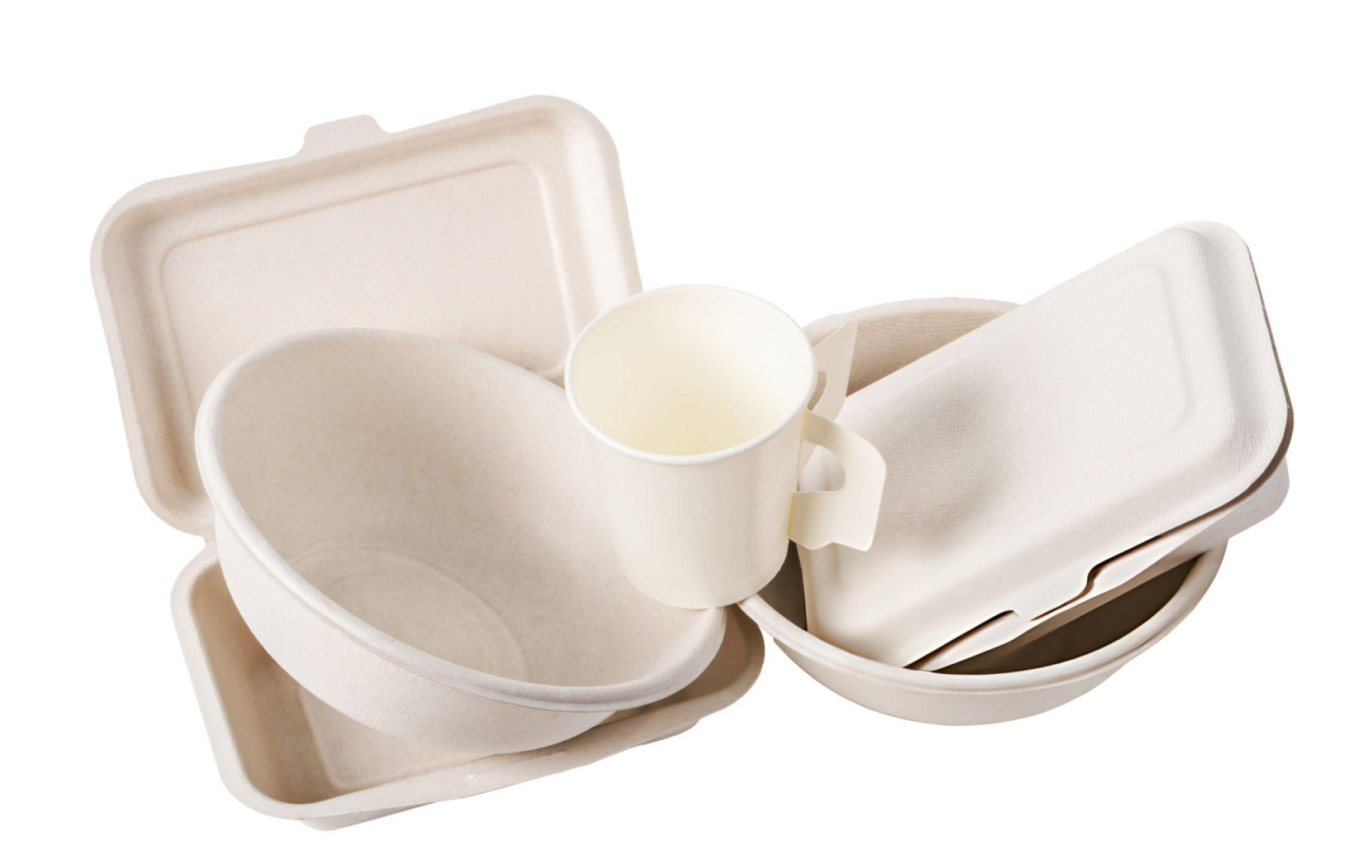 Bagasse Eco Plates