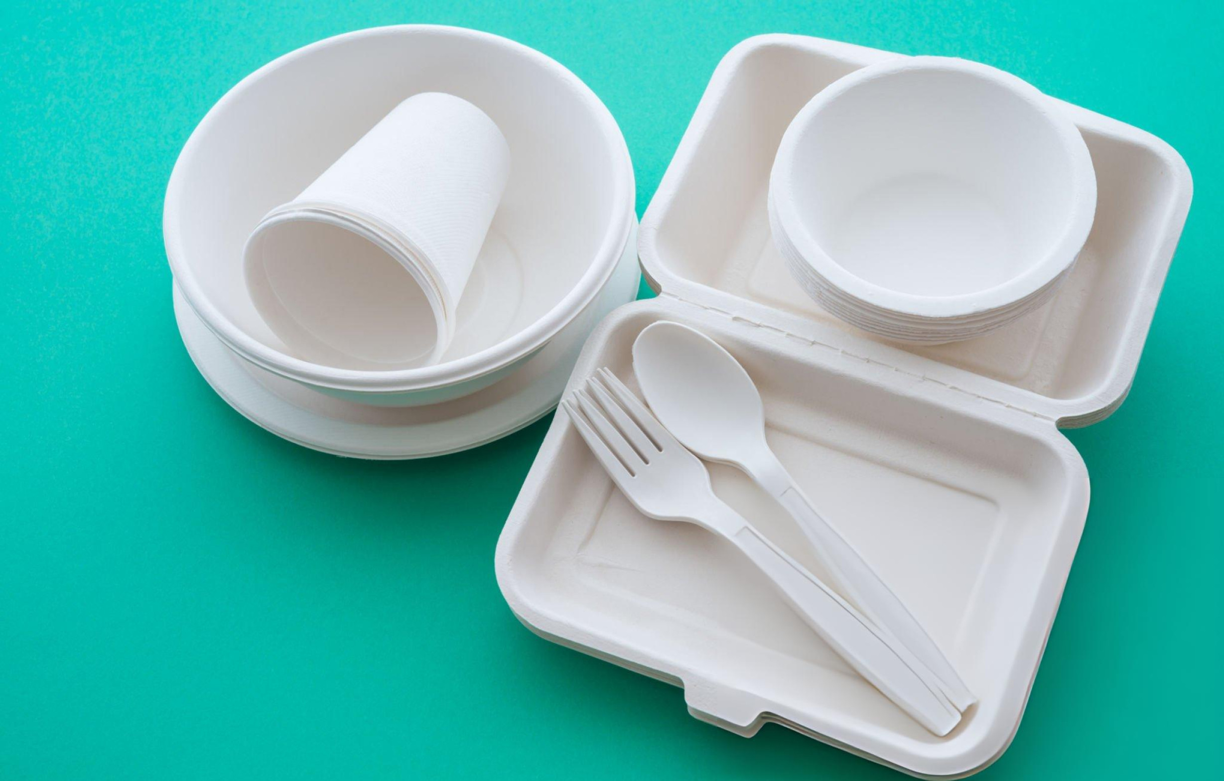 Bagasse Eco Plates