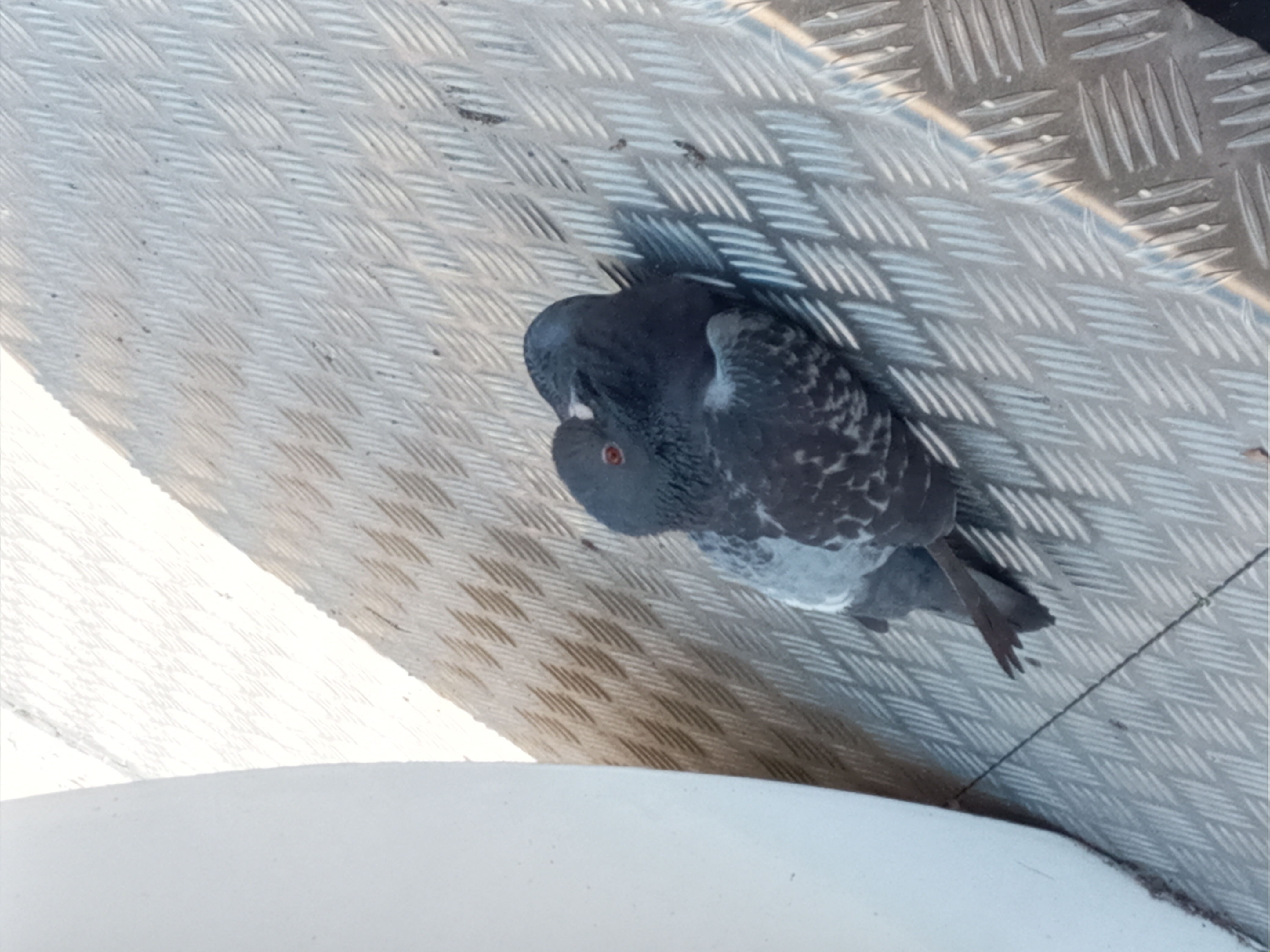 5. I See You Everywhere