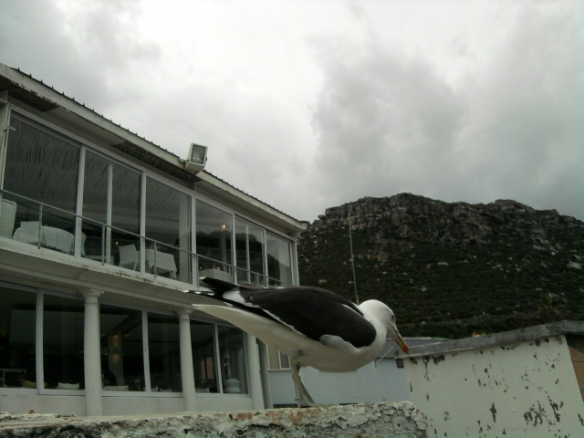 16. Communicate Your Love