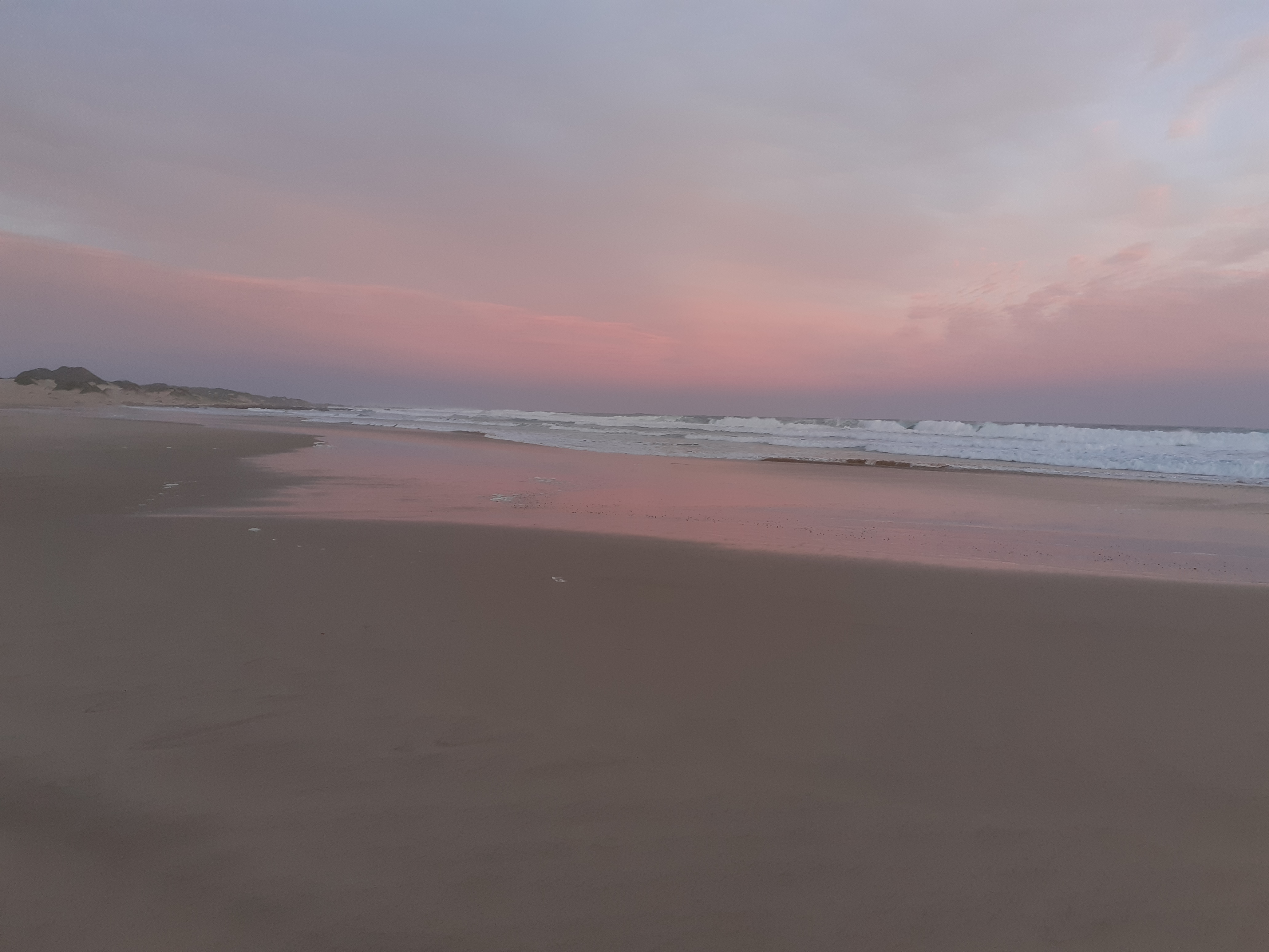 11. Celebrate  Humans