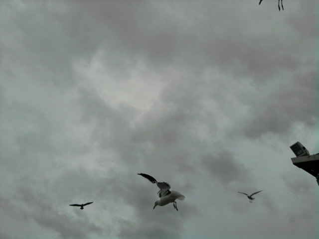 13. Extreme Maneuver