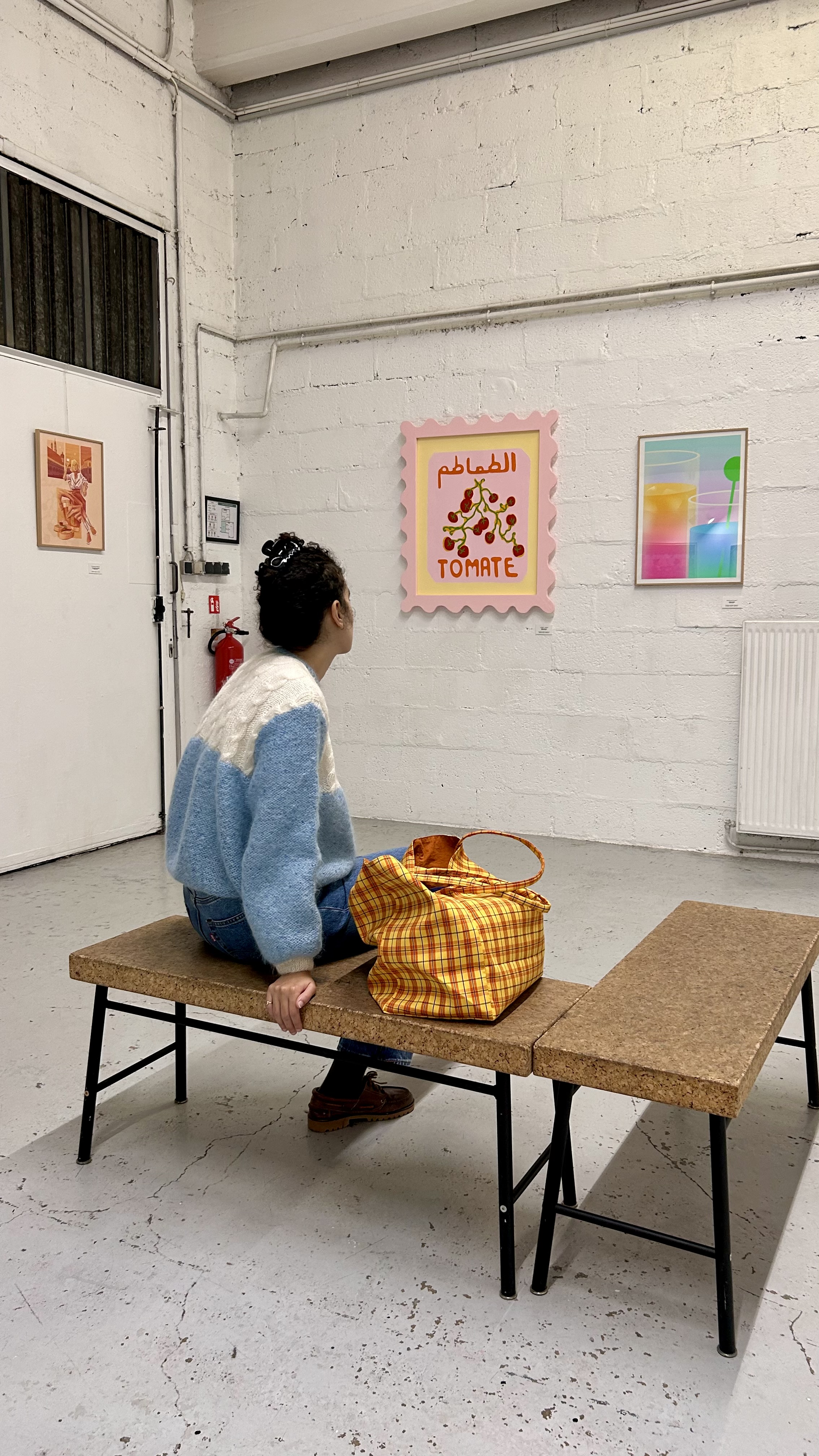 Tomates - الطماطم