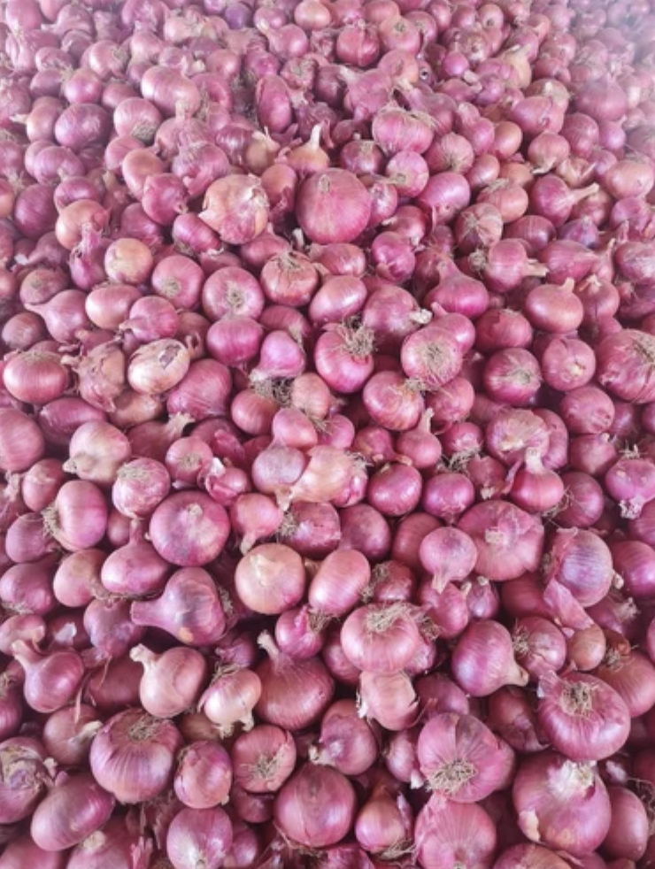 Dehydrated Chopped Onion, Pan India, Packaging Size: 5 Kg