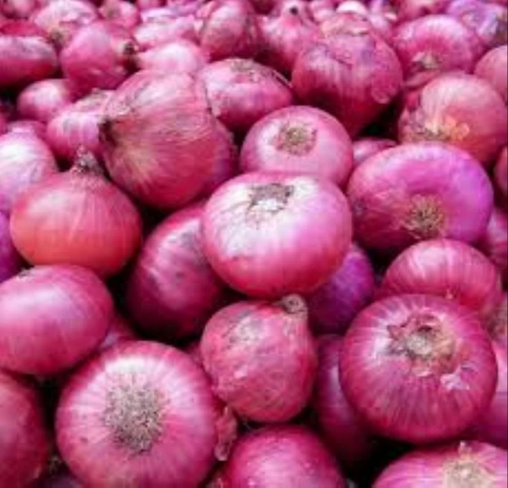 Fresh Red Onion, A Grade/ 50 Kg