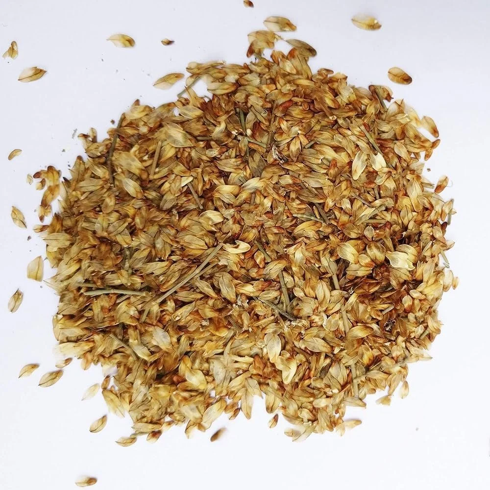 Dried Natural Cupressus Torulosa Seed, Packaging Size: 1 kg