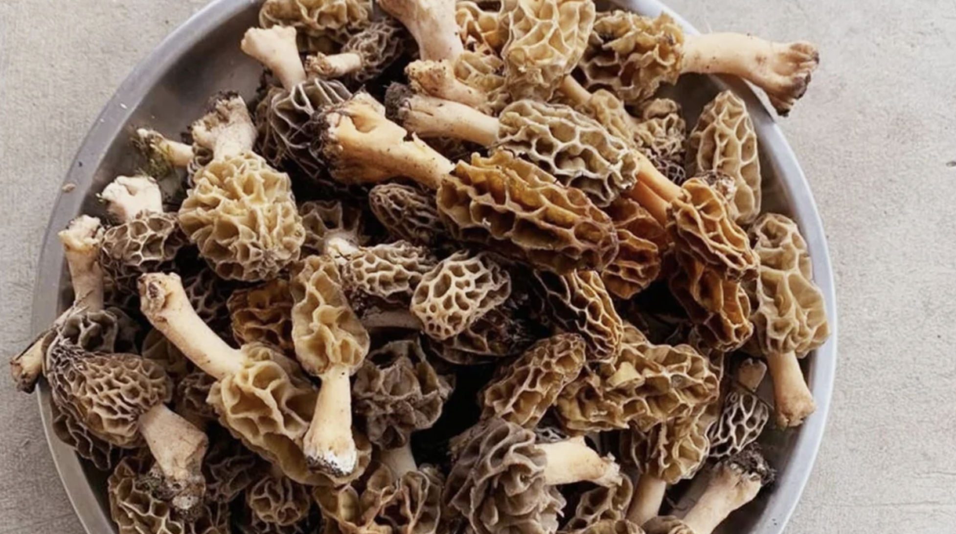 Uttrakhand,J&K Morchella Gucchi Mushroom, Packaging Type: Loose