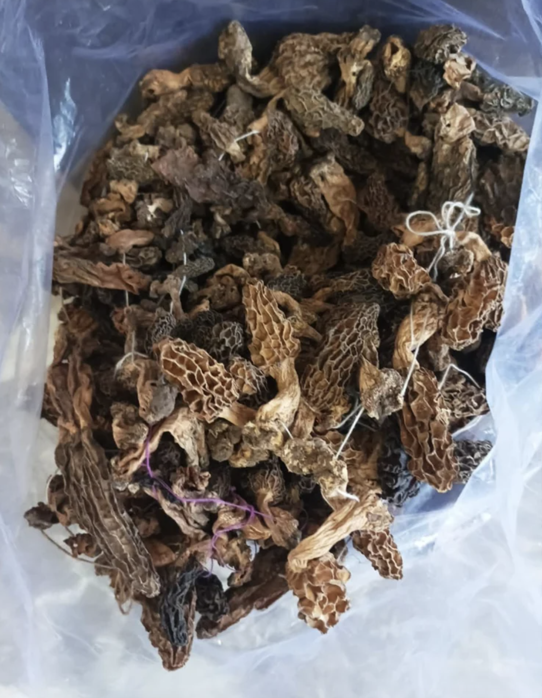 Uttrakhand,J&K Morchella Gucchi Mushroom, Packaging Type: Loose