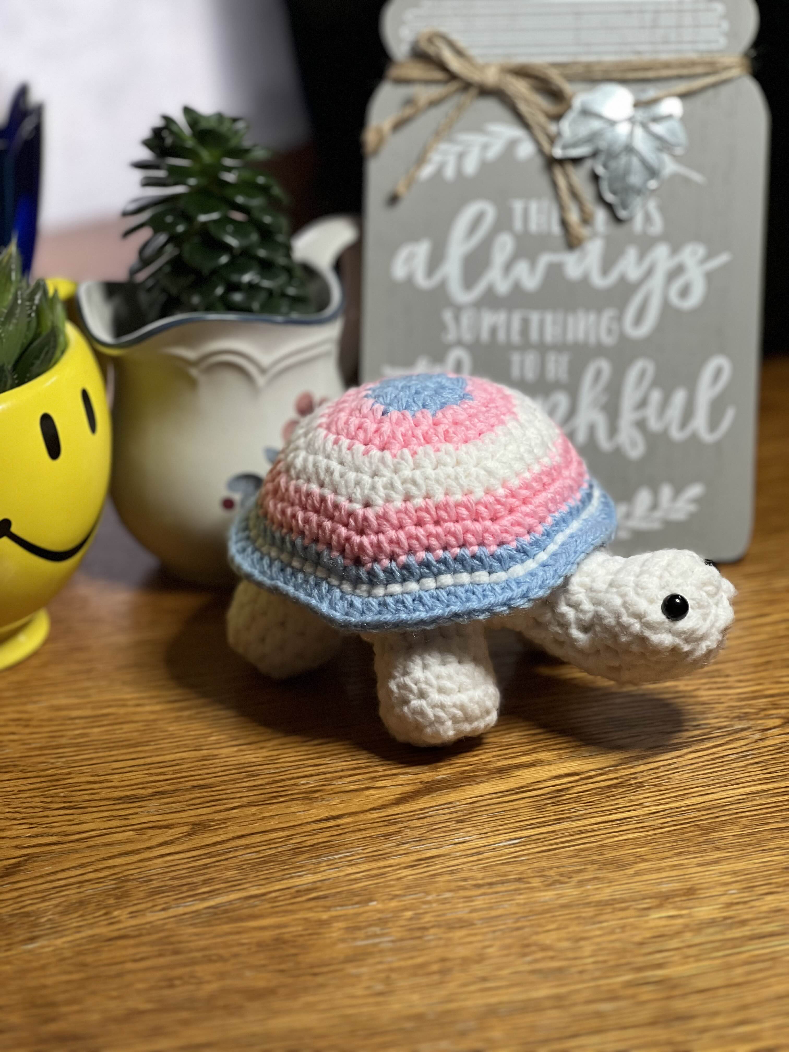 Trans Pride Tortoise