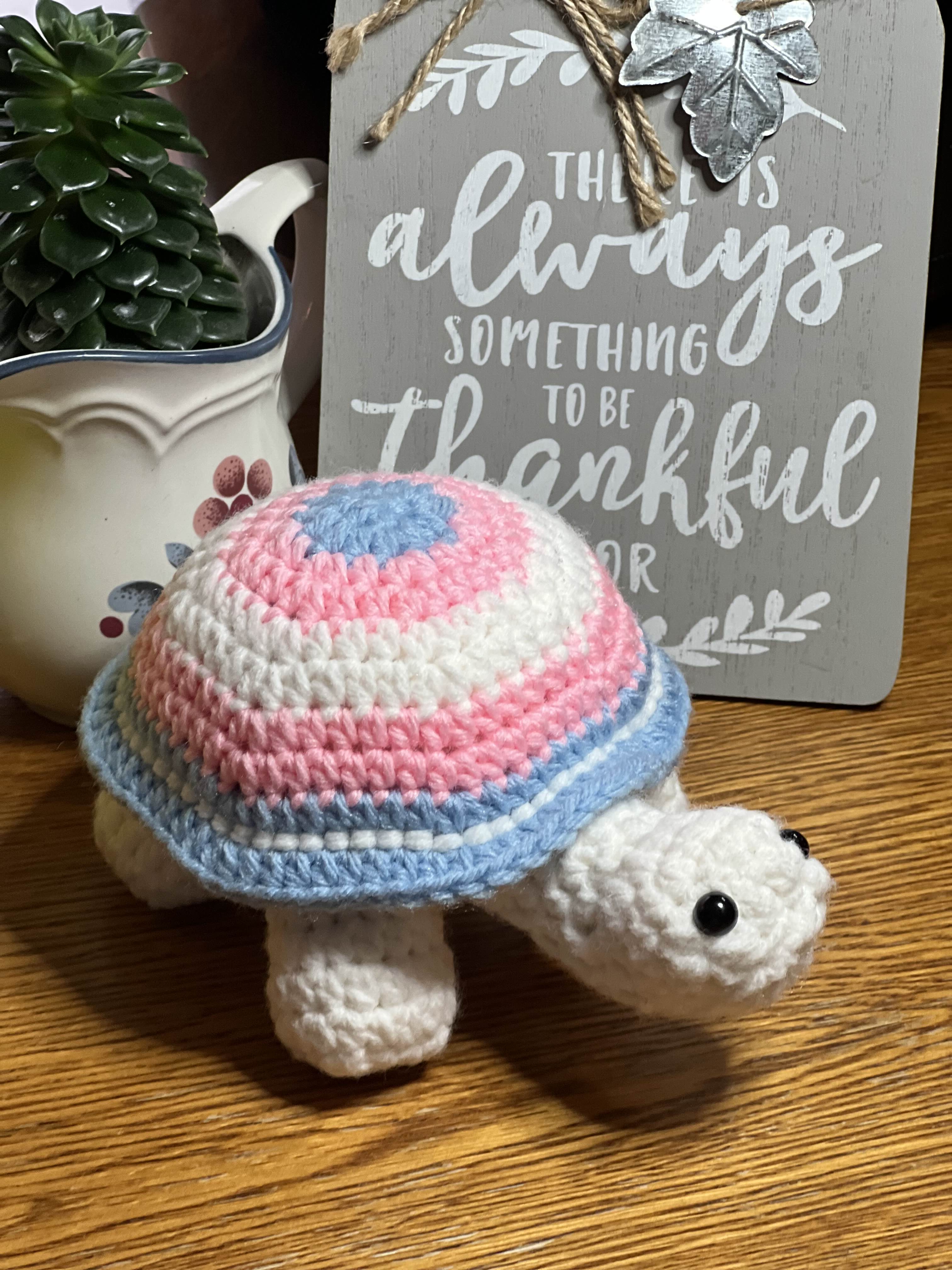 Trans Pride Tortoise