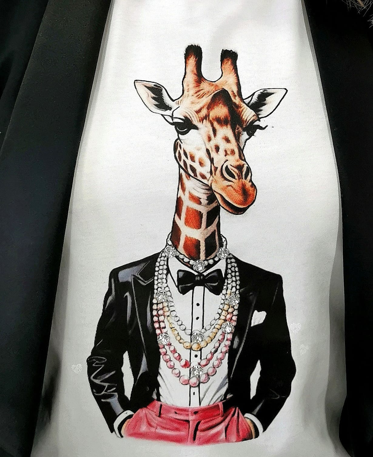 New COLLECTION TMCD10088