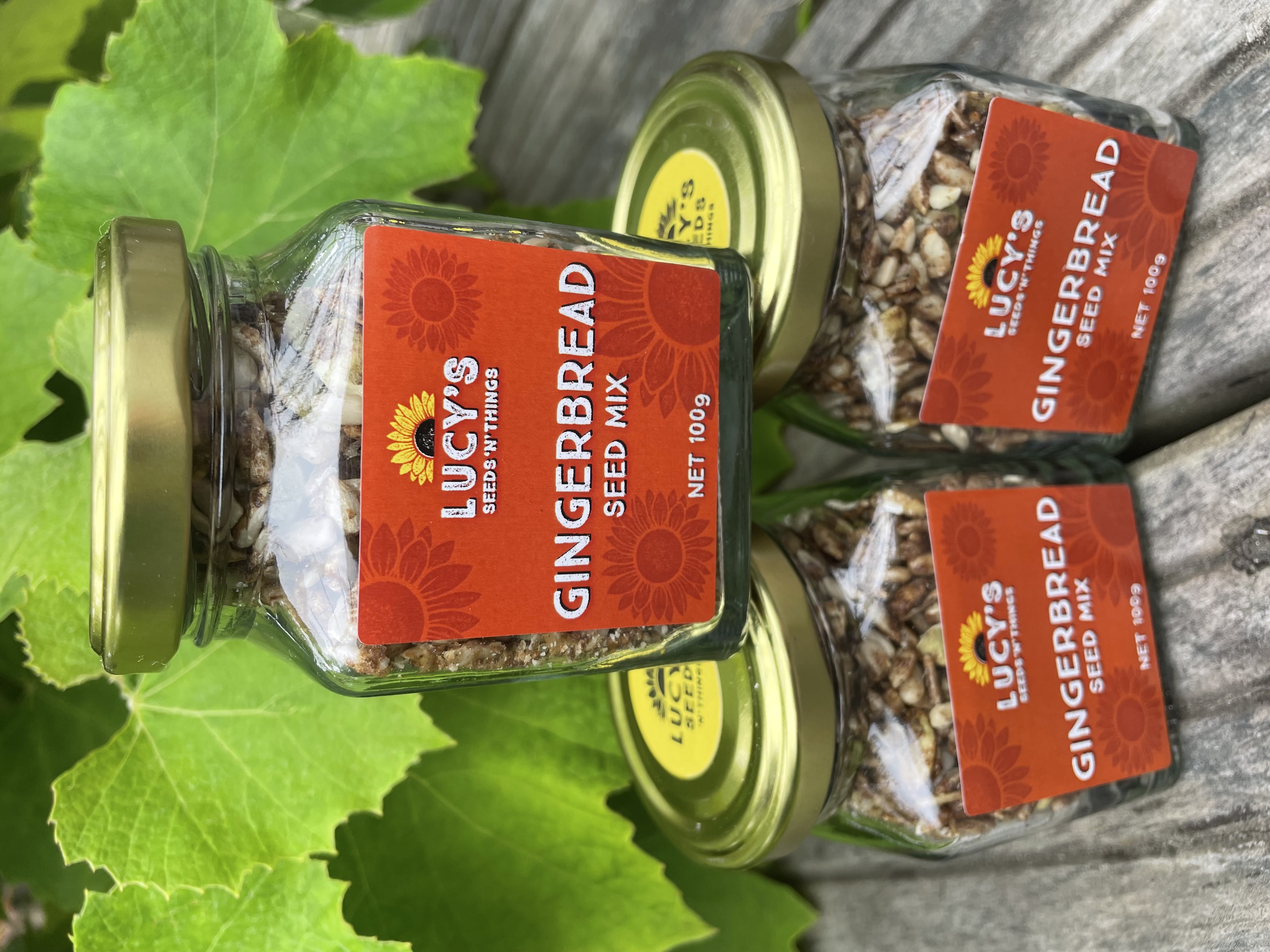 Seed Mix - Gingerbread 