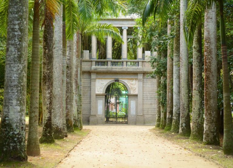 JARDIM BOTÂNICO + FLORESTA DA TIJUCA