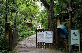 EXPERIÊNCIA PARQUE ESTADUAL DA PEDRA BRANCA + VISITA AO QUILOMBO