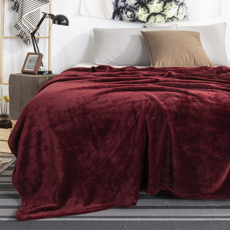 Flannel Blanket 300gsm Single Layer Lightweight Cozy Fleece Blanket