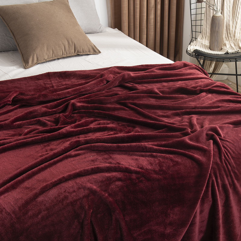 Flannel Blanket 300gsm Single Layer Lightweight Cozy Fleece Blanket