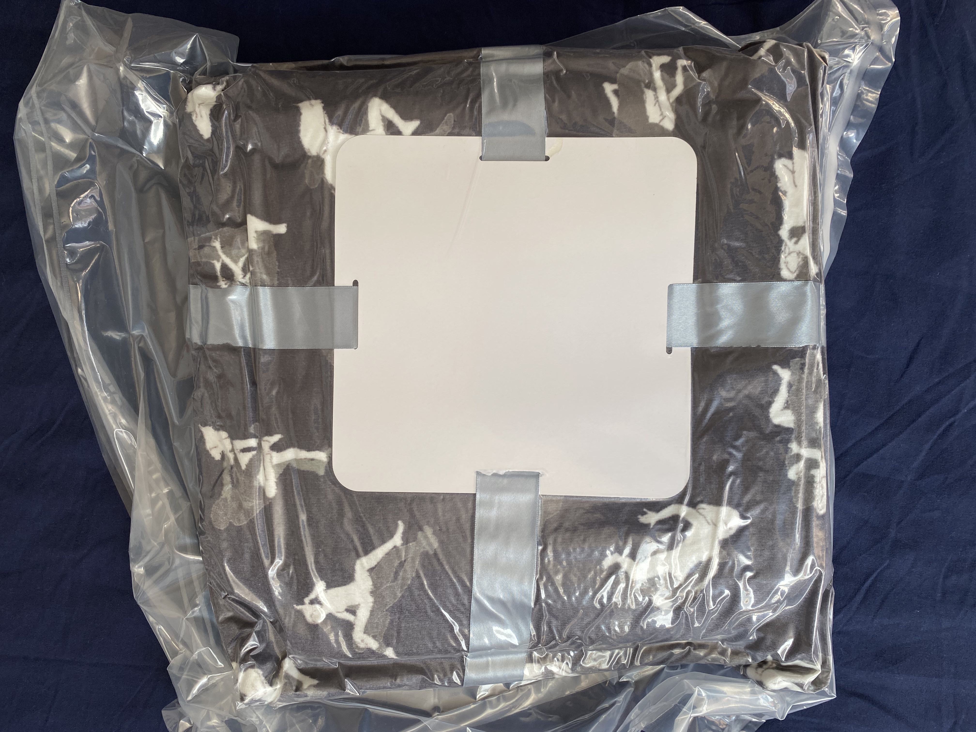Printed Flannel Sherpa Fleece Waterproof Sex Love Blanket