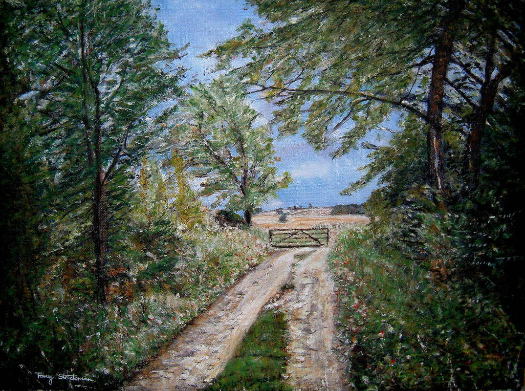 Whiston Countryside Northamptonshire