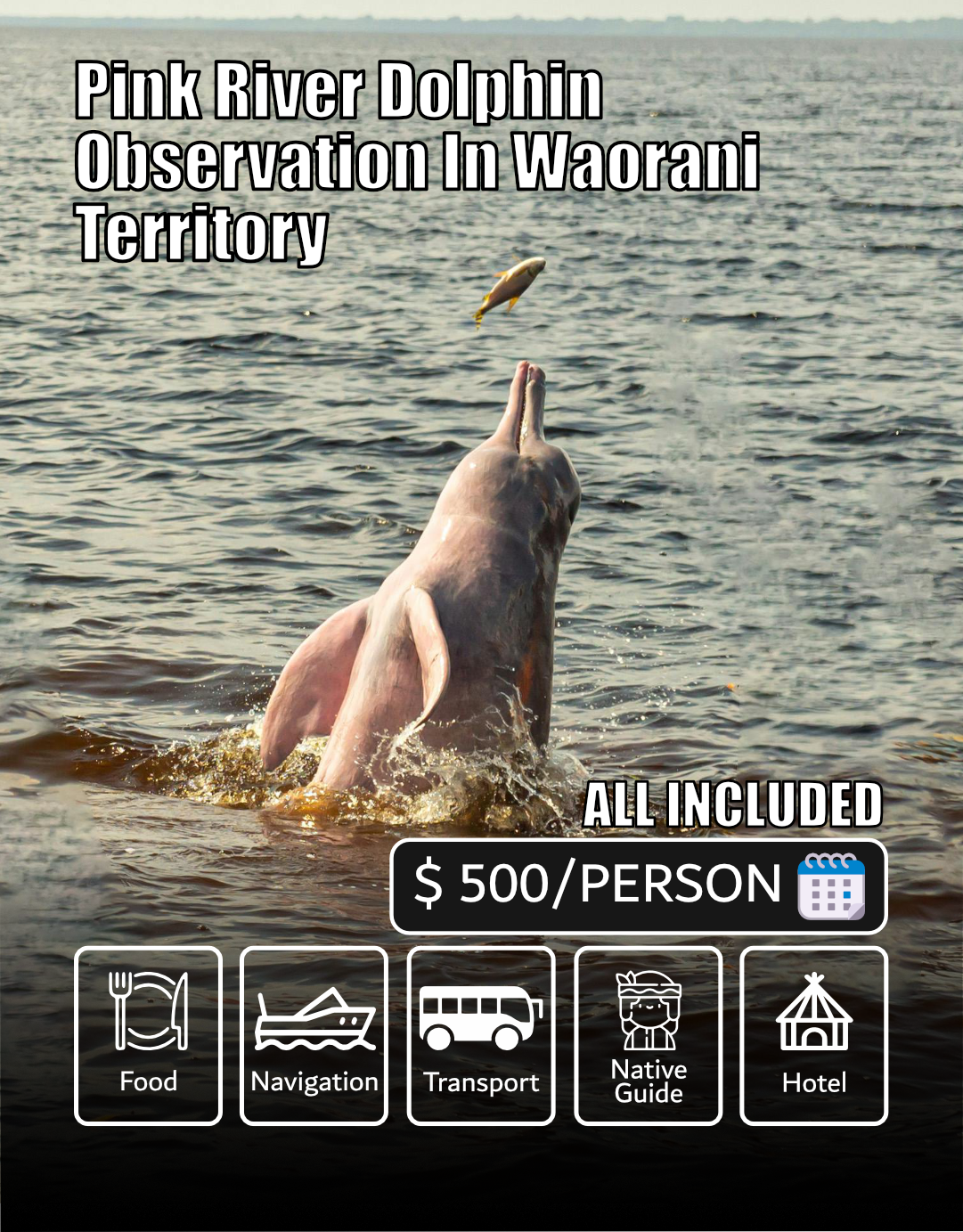 Tour Delfín Rosado en Territorio Waorani