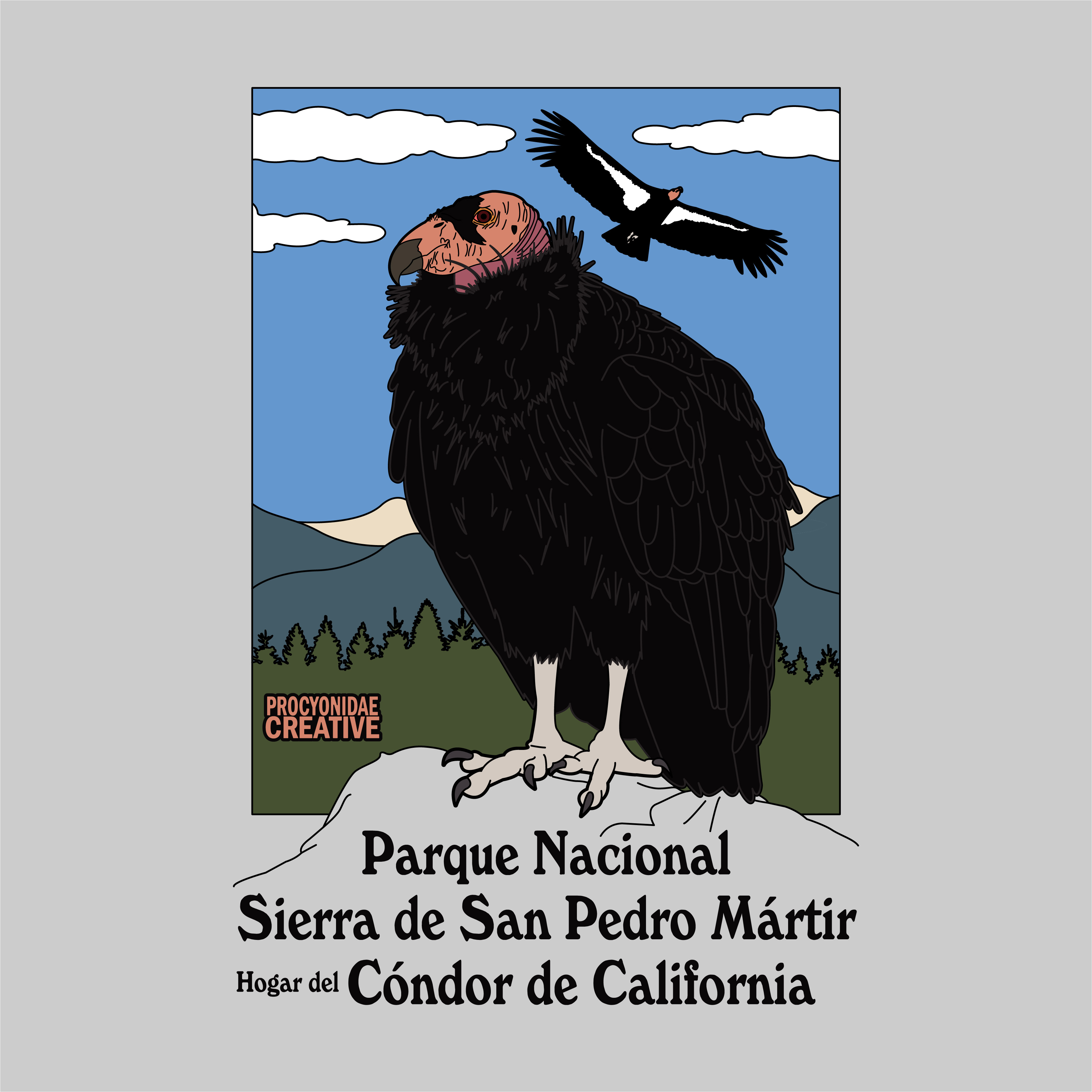 Condor de California