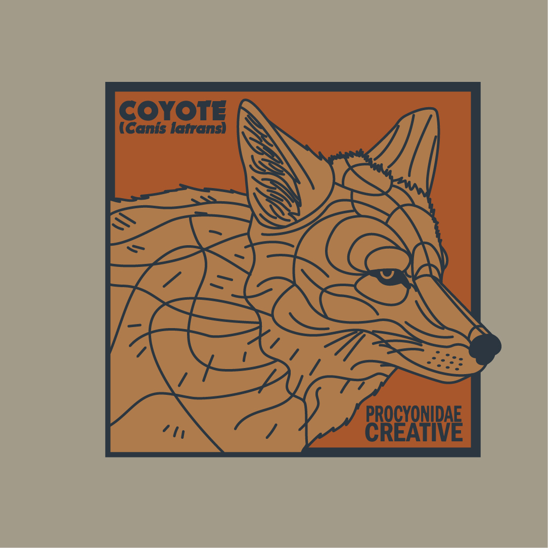 Coyote