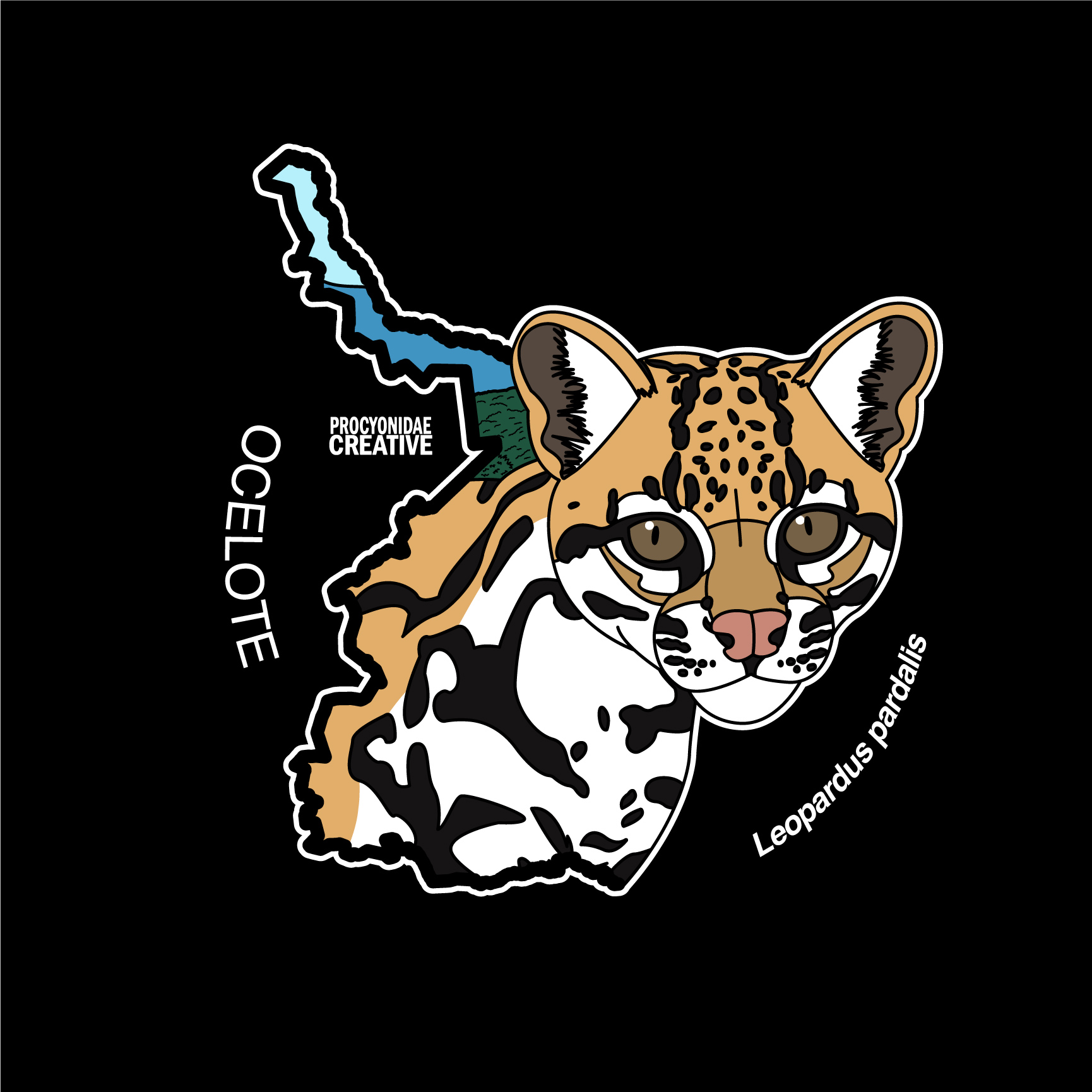 Estado Salvaje: Tamaulipas