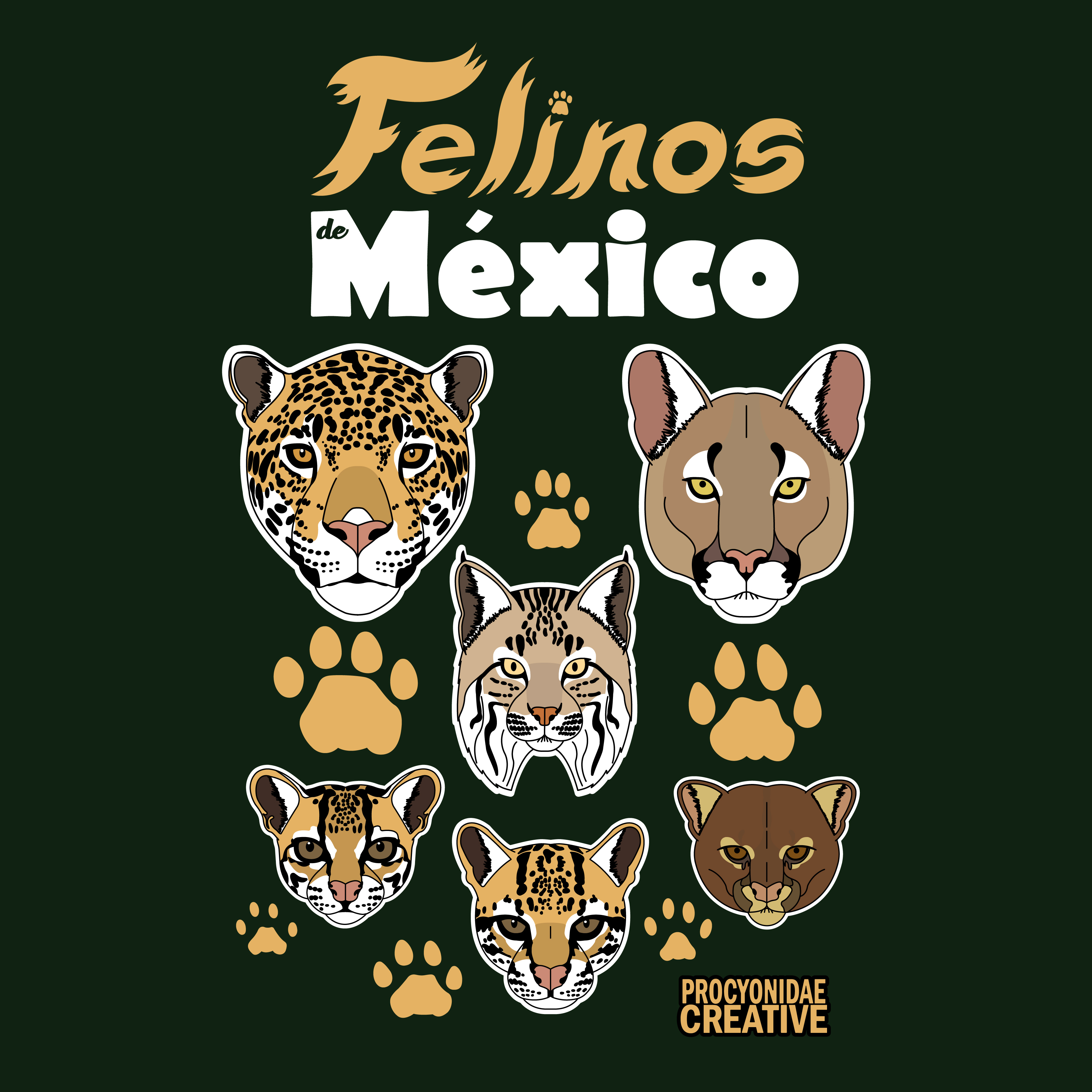 Felinos de México