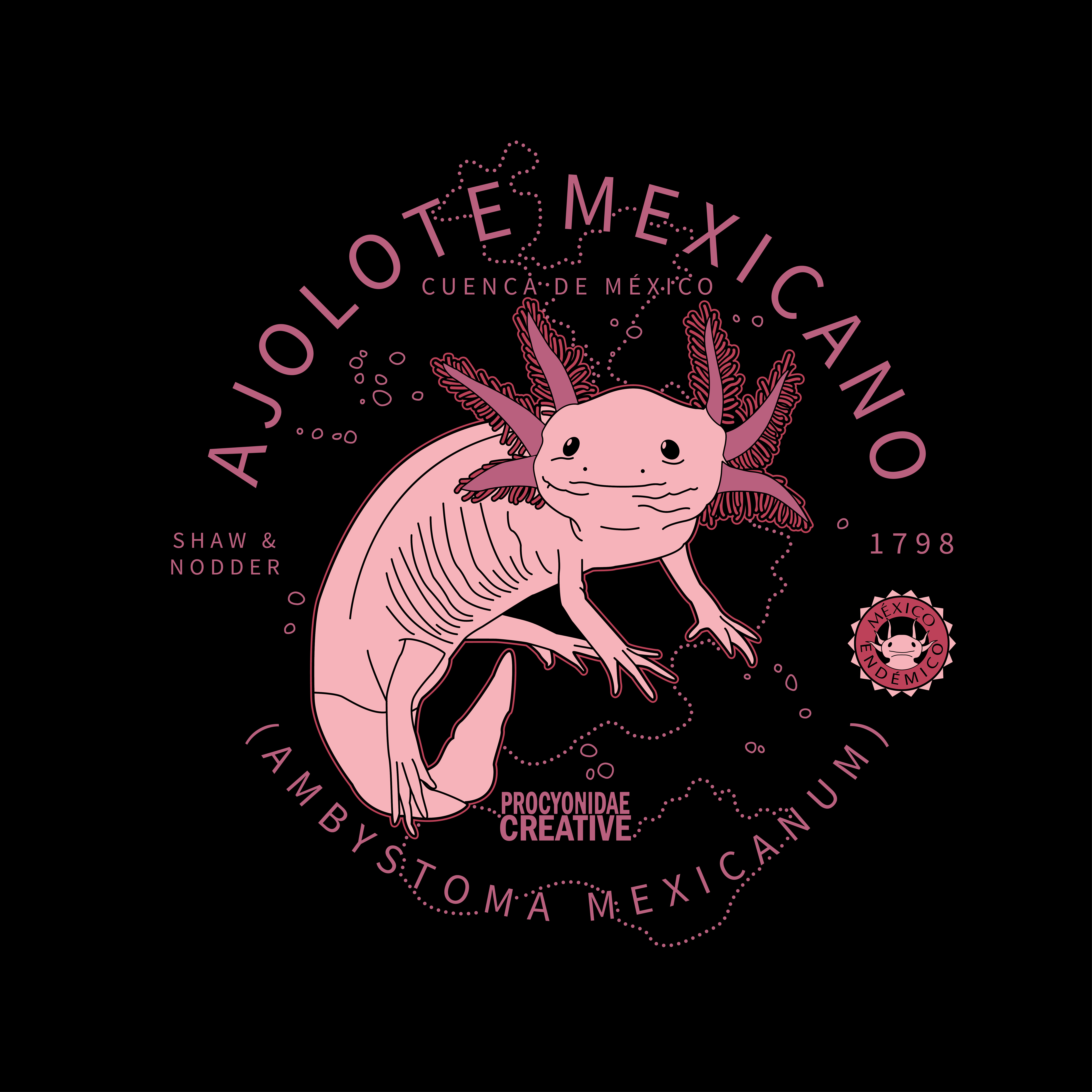 México Endémico: Ajolote Mexicano