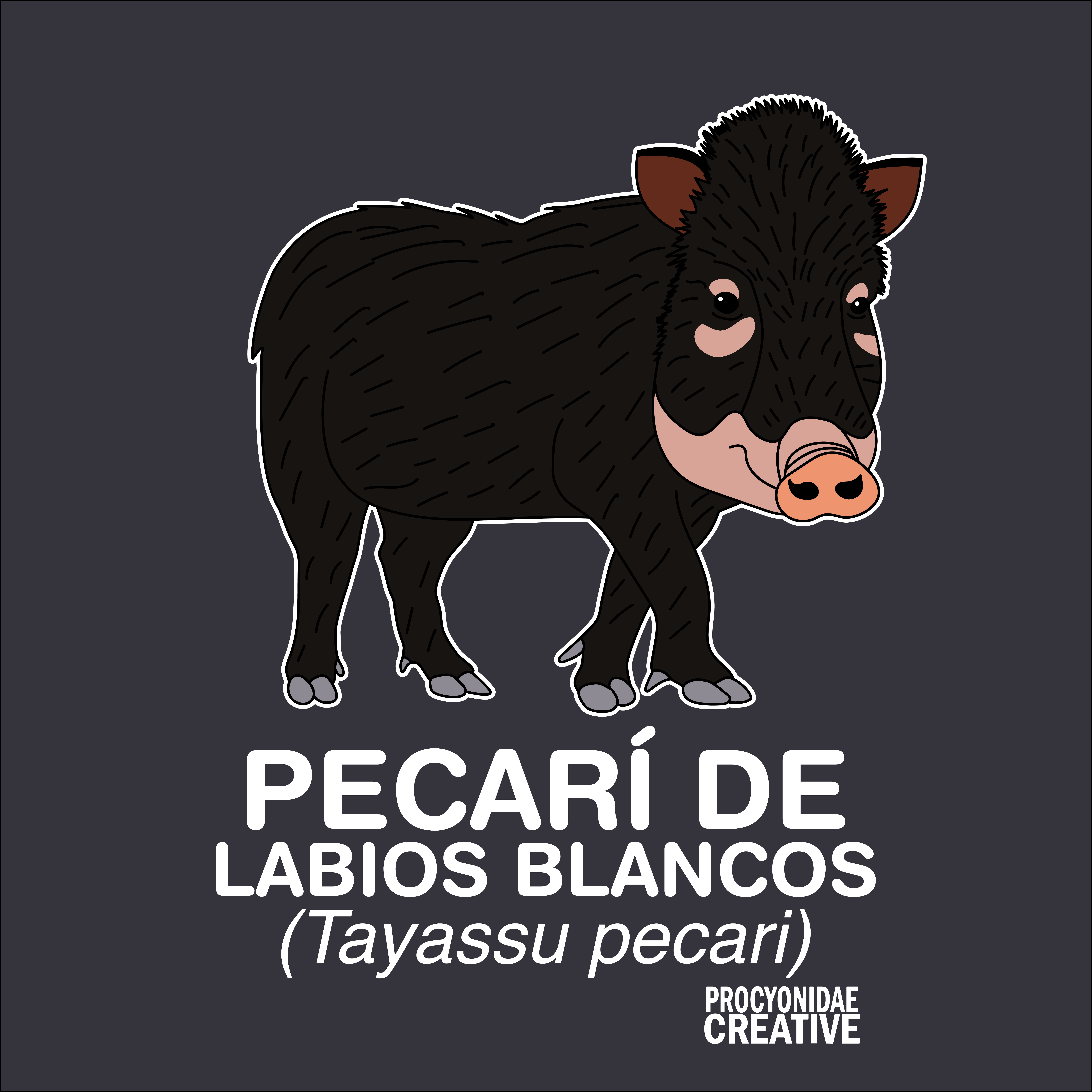 Pecarí de Labios Blancos